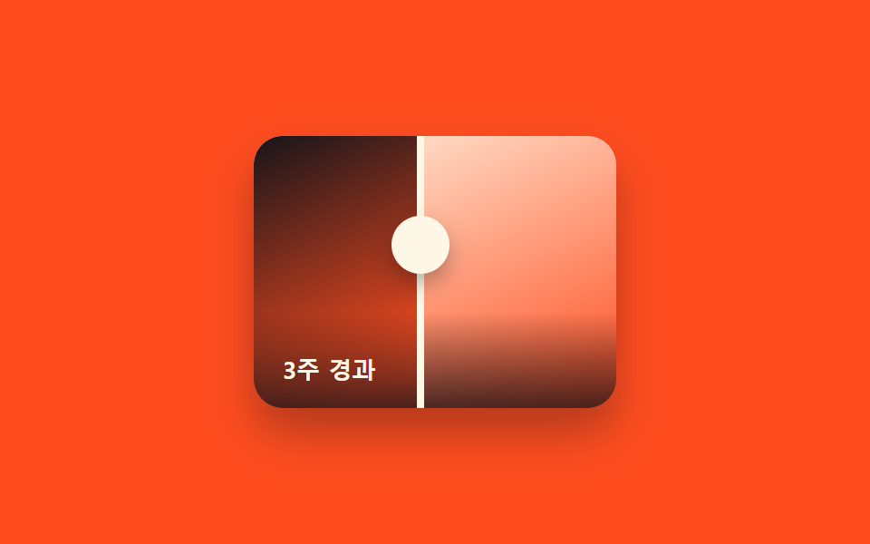 캡션 오버레이 비교 슬라이더