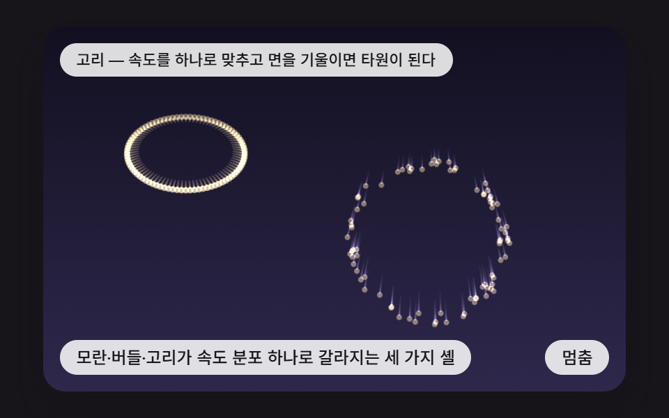 모란·버들·고리가 속도 분포 하나로 갈라지는 세 가지 셸
