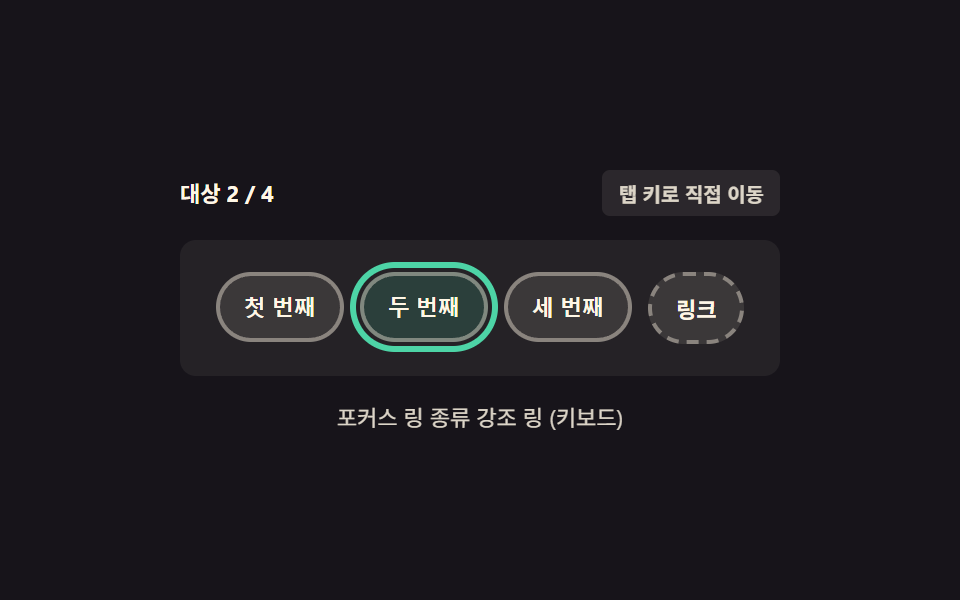 키보드 포커스 링 — 마우스 클릭에는 안 뜨고 키보드 이동에만 나타나는 테두리