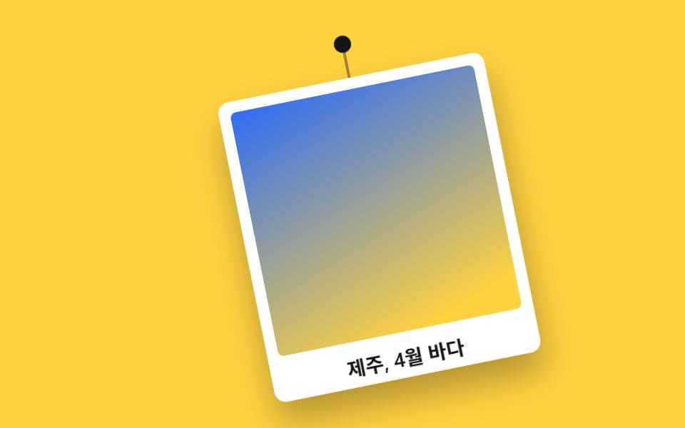 폴라로이드 그네 등장