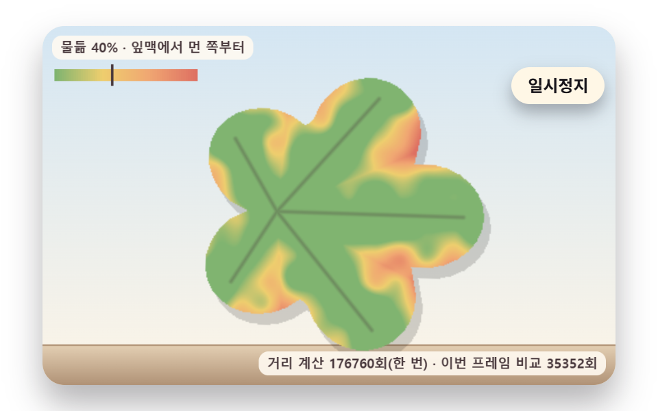 잎맥에서 먼 가장자리부터 물드는 단풍
