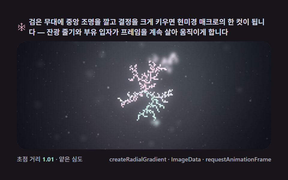 マクロ写真シーン — 暗い舞台に浅い被写界深度で浮かぶ結晶 — snowflake generator 9種 — DLAで育つ雪結晶