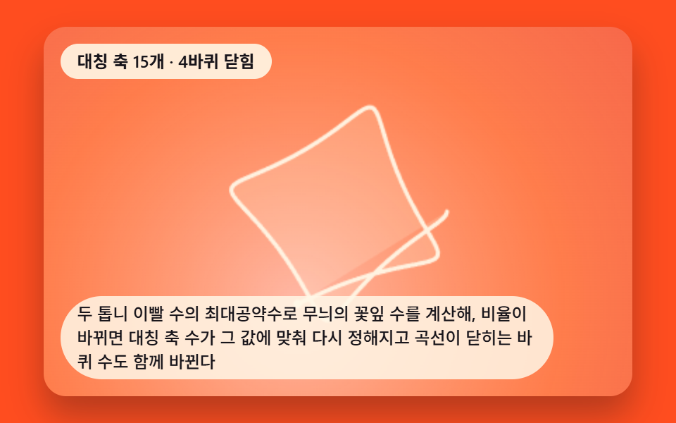 이빨 수 비율로 대칭 축 수가 정해지는 무늬